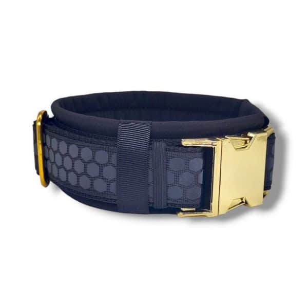 D by E Couture Black & Gold II Hunde-Halsband Test