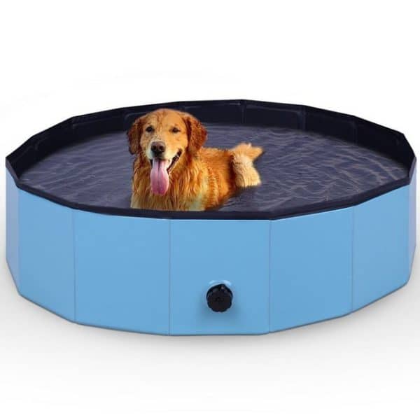 Bestlivings Hundepool Faltbarer Pool für Hunde 80cm Test