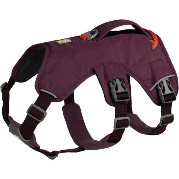 Ruffwear Web Master Hundegeschirr Test