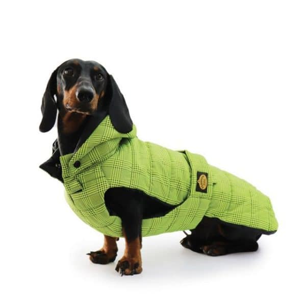 Fashion Dog Dackel Steppmantel Tierbedarf Test