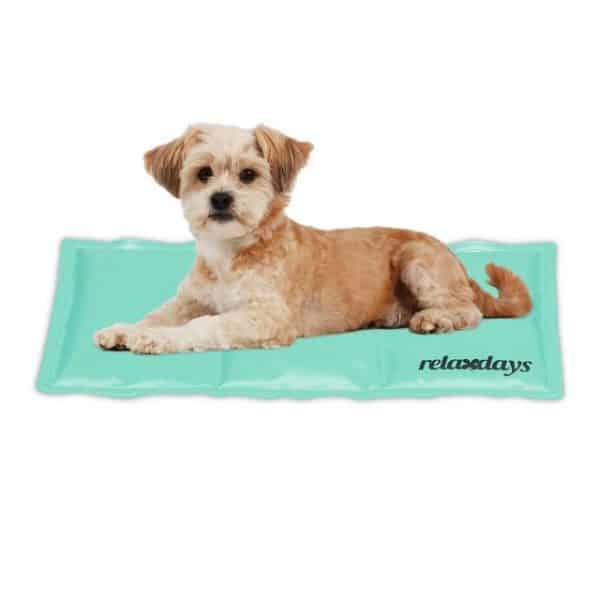 Relaxdays Hundematte Türkise Kühlmatte für Hunde Test