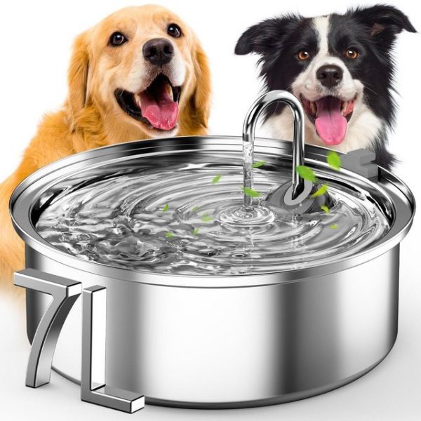 PurpurRain Trinkbrunnen 7L Katzen Hunde Test