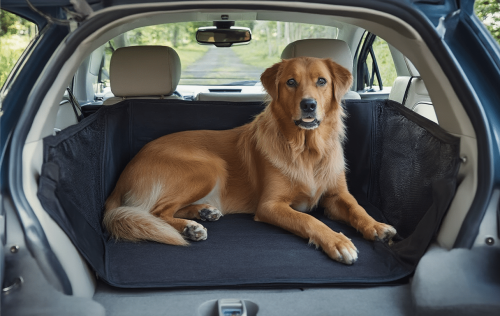 Hunde Rücksitzbarrieren Test: Die 5 besten (Bestenliste)